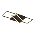 Rabalux - Plafonnier LED dimmable LED/40W/230V 3000-6500K 29x66 cm + télécommande