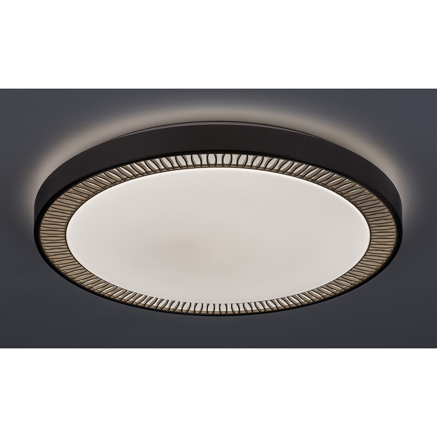 Rabalux - Plafonnier LED dimmable LED/40W/230V + télécommande 3000-6000K Ø 50 cm