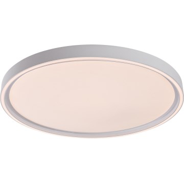 Rabalux - Plafonnier LED dimmable LED/54W/230V IP40 3000-6500K Ø 52 cm + télécommande
