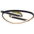 Rabalux - Plafonnier LED dimmable LED/60W/230V 3000-6000K 53x45 cm + télécommande