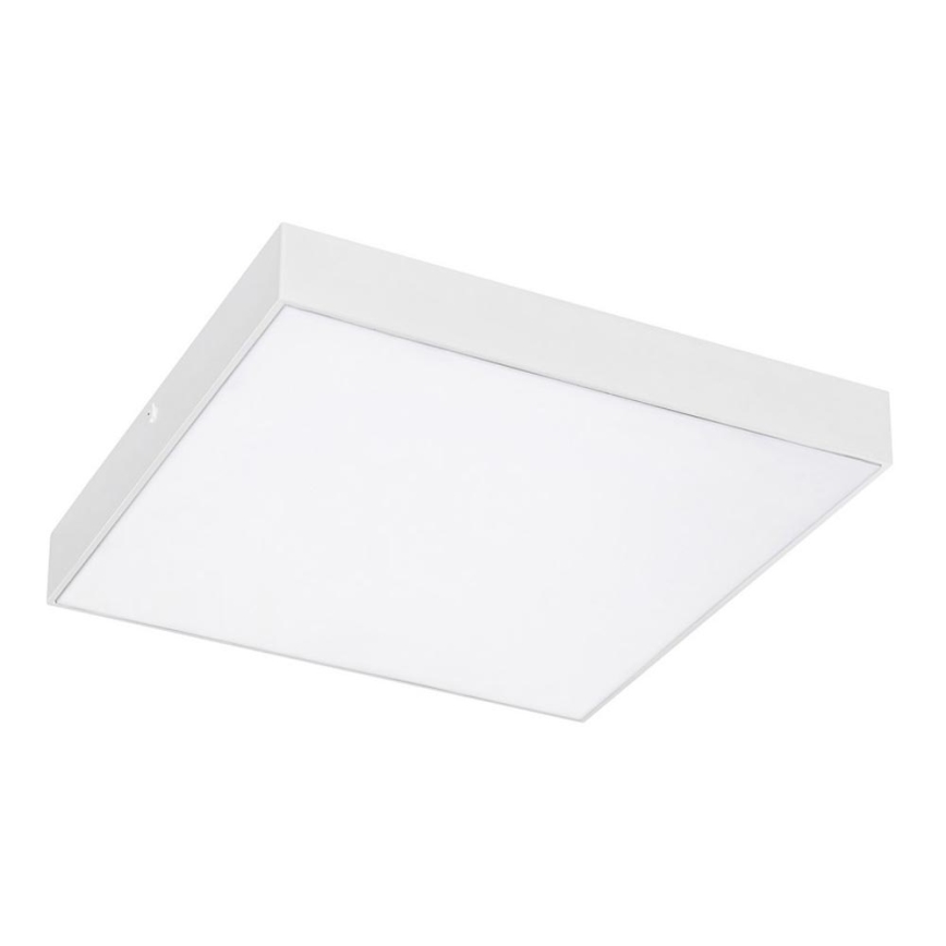Rabalux - Plafonnier LED LED/24W/230V 2800-6000K IP44 blanc 30x30 cm