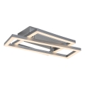 Rabalux - Plafonnier LED LED/24W/230V 3000K 22x37 cm