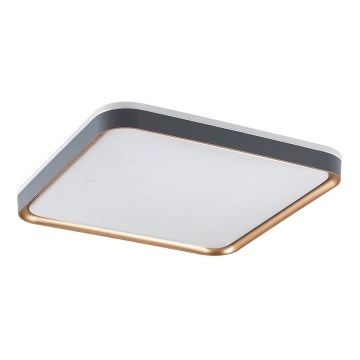 Rabalux - Plafonnier LED LED/26W/230V 3000K 39,5x39,5 cm