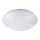 Rabalux - Plafonnier LED salle de bain LED/12W/230V IP44