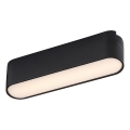 Rabalux - Plafonnier pour système de rail monophasé LED/6W/230V 3000K 11,5 cm noir