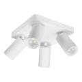 Rabalux - Spot 4xGU10/7W/230V blanc