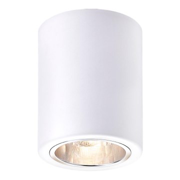 Rabalux - Spot orientable 1xE27/25W/230V blanc