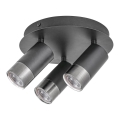 Rabalux - Spot ZIRCON 3xGU10/5W/230V