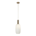 Rabalux - Suspension filaire 1xE27/60W/230V