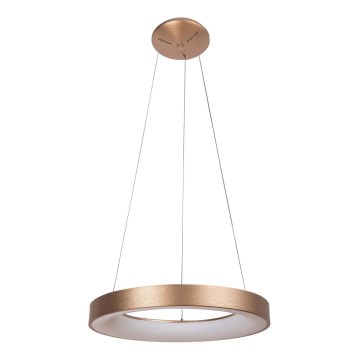Rabalux - Suspension filaire CARMELLA LED/50W/230V d. 60 cm