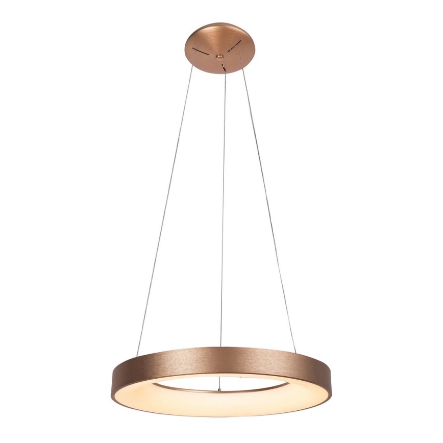 Rabalux - Suspension filaire CARMELLA LED/80W/230V