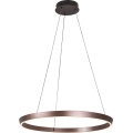 Rabalux - Suspension LED dimmable sur câble LED/36W/230V 3000–6500K + télécommande