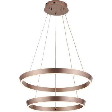 Rabalux - Suspension LED dimmable sur câble LED/45W/230V 3000-6500K + télécommande