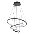 Rabalux - Suspension LED dimmable sur câble LED/90W/230V 3000-6500K + télécommande
