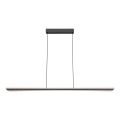 Rabalux - Suspension LED sur câble LED/40W/230V 3000K