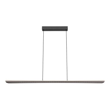 Rabalux - Suspension LED sur câble LED/40W/230V 3000K