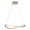 Rabalux - Suspension LED sur câble LED/40W/230V 3000K