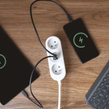 Rallonge électrique 2 prises + 2x USB-A + USB-C 1,4 m