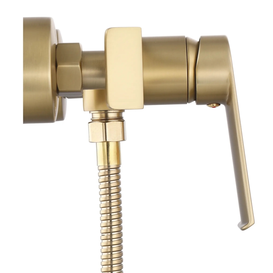 REA-B6403 - Ensemble de douche avec mitigeur HASS doré brossé