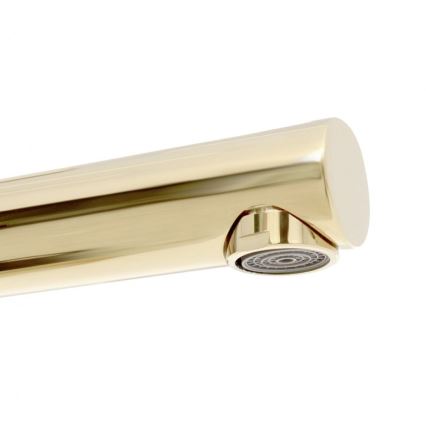 REA-B8803 - Mitigeur de lavabo TESS 31,5 cm doré