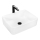 REA-U0669 - Lavabo à poser ANITA 37,5x48,5 cm céramique/blanc brillant