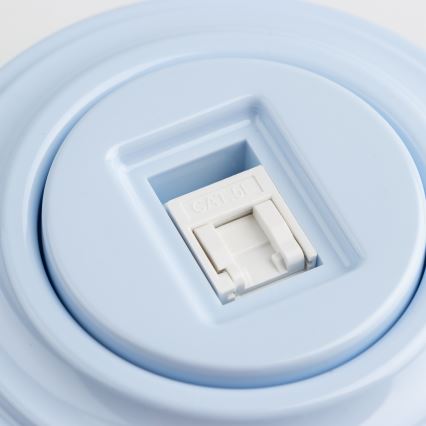 Reblig - Prise réseau rétro avec plaque bleue