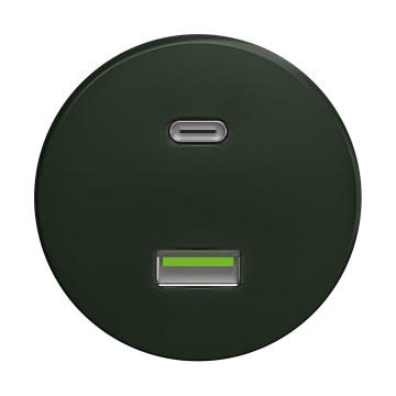 Reblig - Prise USB murale rétro A+C sans cadre, verte