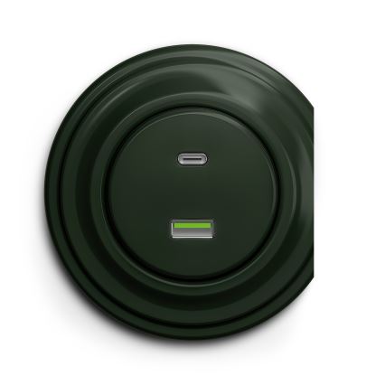 Reblig - Prise USB murale rétro A+C sans cadre, verte