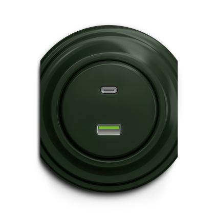 Reblig - Prise USB murale rétro A+C sans cadre, verte