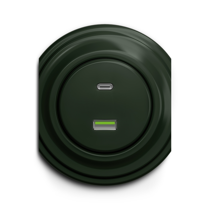 Reblig - Prise USB murale rétro A+C sans cadre, verte
