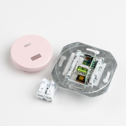 Reblig - Prise USB rétro A et C avec cadre, rose poudré
