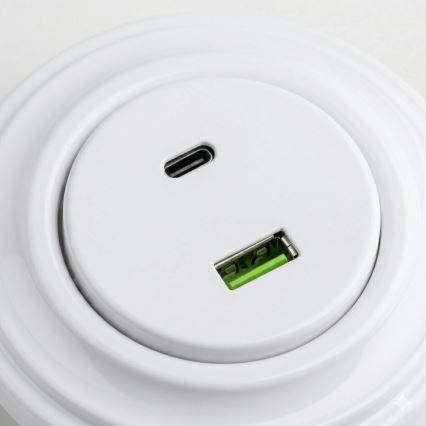 Reblig - Prise USB rétro A+C avec cadre blanc neige