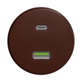 Reblig - Prise USB rétro A+C sans cadre, marron