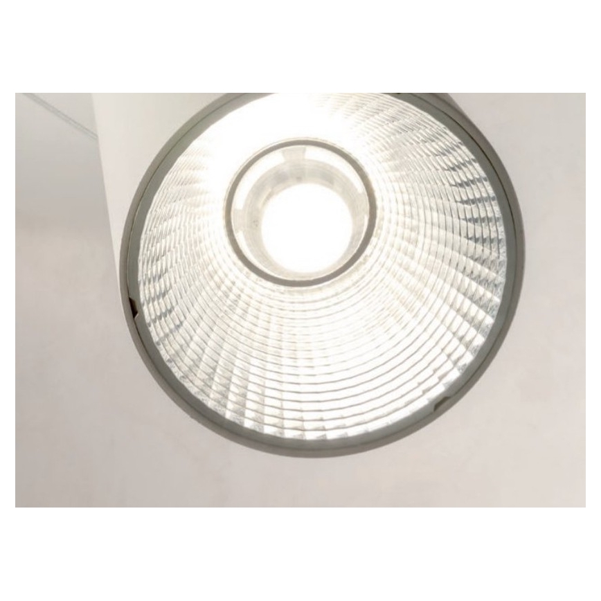Redo 01-1970 - Suspension filaire à intensité variable ESSENCE LED/24W/230V CRI 90 3000K blanc
