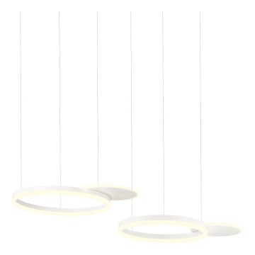 Redo 01-2605 - Suspension LED dimmable sur câble SIGUA LED/99W/230V CRI 90 blanche