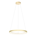 Redo 01-2673 - Suspension filaire à intensité variable ICONIC LED/50W/230V d. 58 cm doré