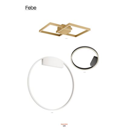 Redo 01-2819 - Applique murale LED dimmable FEBE LED/24W/230V noire