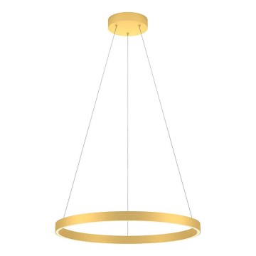 Redo 01-2865 - Lustre LED dimmable sur câble FEBE LED/37W/230V doré