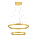 Redo 01-2889 - Lustre LED dimmable sur câble FEBE LED/62W/230V doré