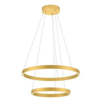 Redo 01-2889 - Lustre LED dimmable sur câble FEBE LED/62W/230V doré