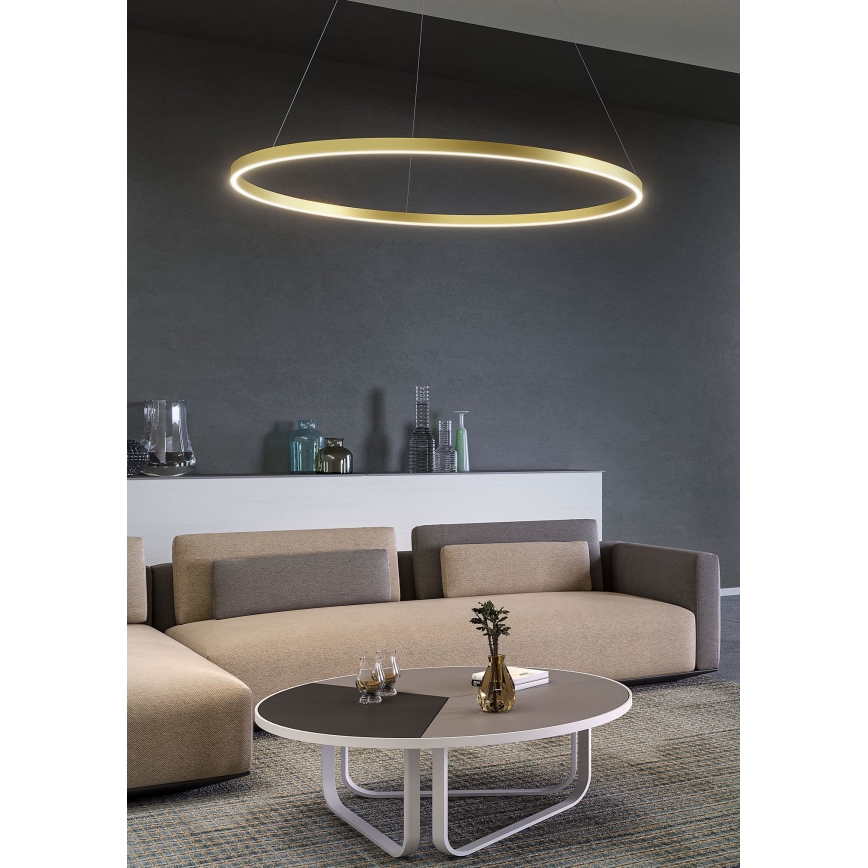 Redo 01-2889 - Lustre LED dimmable sur câble FEBE LED/62W/230V doré