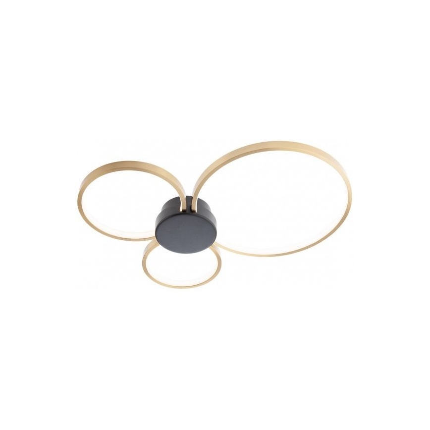 Redo 01-3105 - Plafonnier LED ATOM LED/20W/230V
