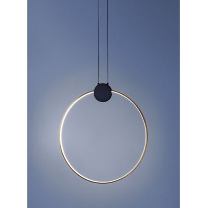 Redo 01-3106 - Suspension filaire LED ATOM LED/11W/230V d. 40 cm