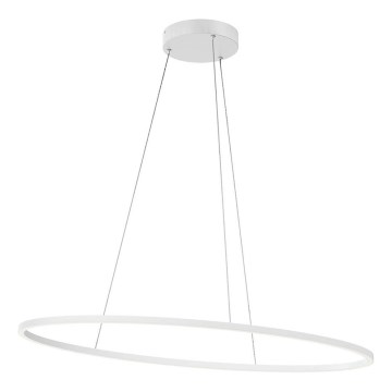 Redo 01-3337 - Lustre suspendu LED dimmable sur câble LEO LED/48W/230V 3000/4000K IRC 90 blanc
