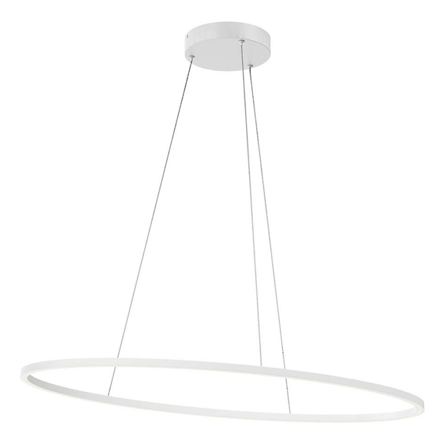 Redo 01-3337 - Lustre suspendu LED dimmable sur câble LEO LED/48W/230V 3000/4000K IRC 90 blanc