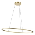 Redo 01-3338 - Suspension LED dimmable sur câble LEO LED/48W/230V 3000/4000K IRC 90 40x95 cm bronze