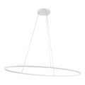 Redo 01-3340 - Suspension dimmable sur câble LEO LED/67W/230V 3000/4000K CRI 90 60x130 cm blanc