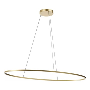 Redo 01-3341 - Suspension LED dimmable sur câble LEO LED/67W/230V 3000/4000K IRC 90 60x130 cm bronze