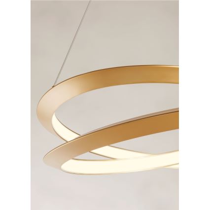 Redo 01-3377 - Suspension dimmable sur câble STORM LED/60W/230V 3000/4000/6000K IRC 90 diam. 80 cm doré