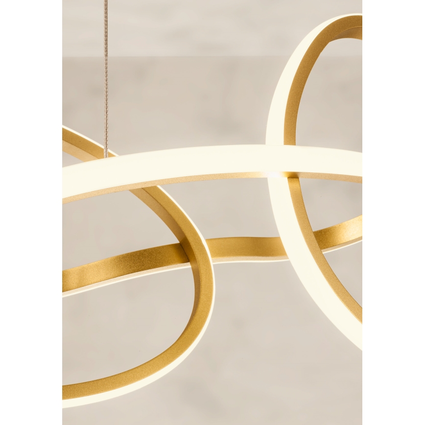 Redo 01-3392 - Suspension LED dimmable sur câble BIAS LED/120W/230V 3000/4500/6500K IRC 90 dorée